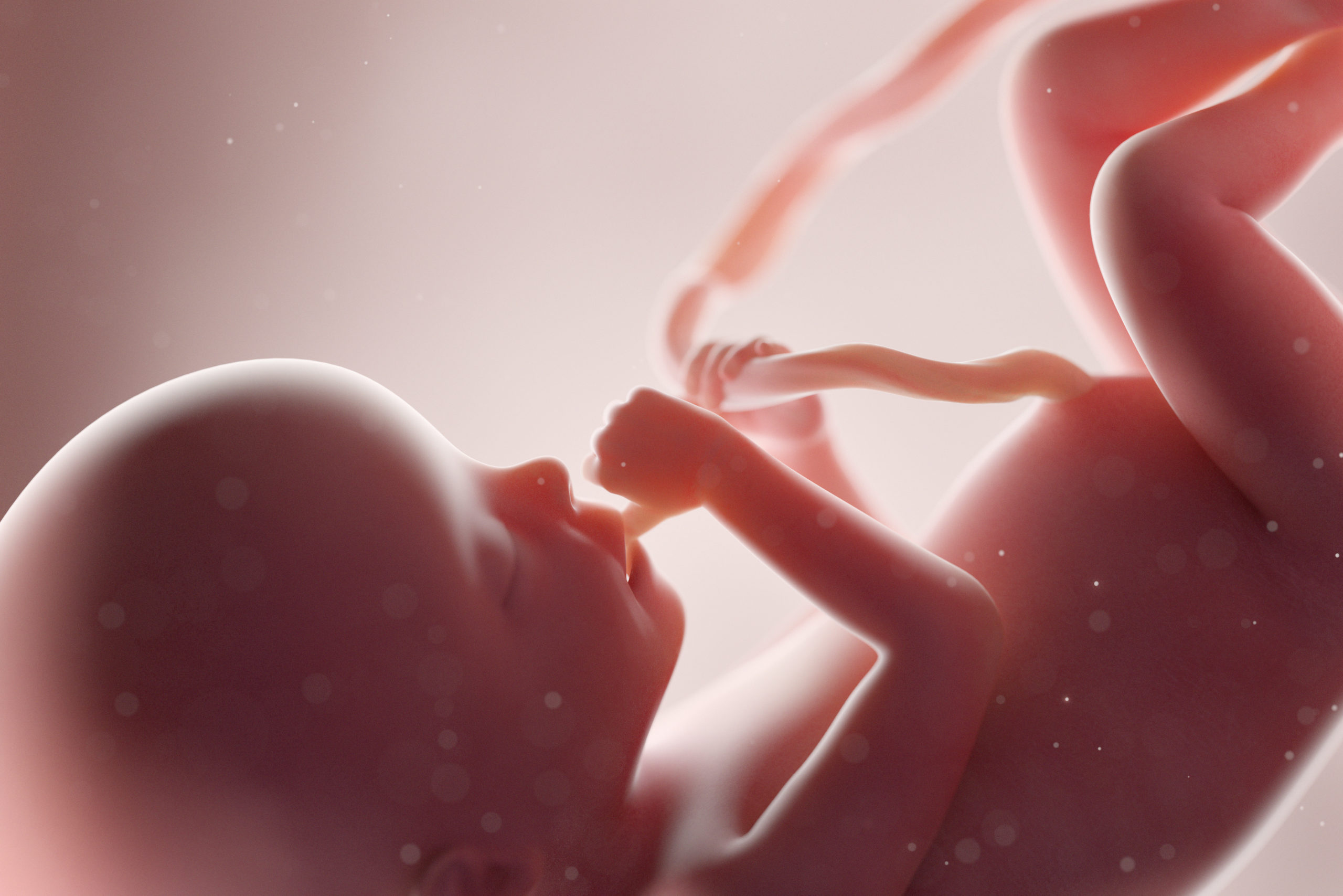 20 week in utero child